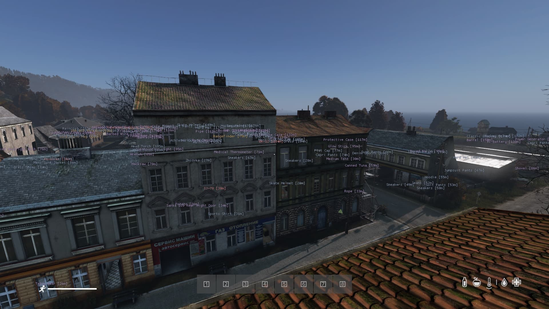 DayZ screenshot 1