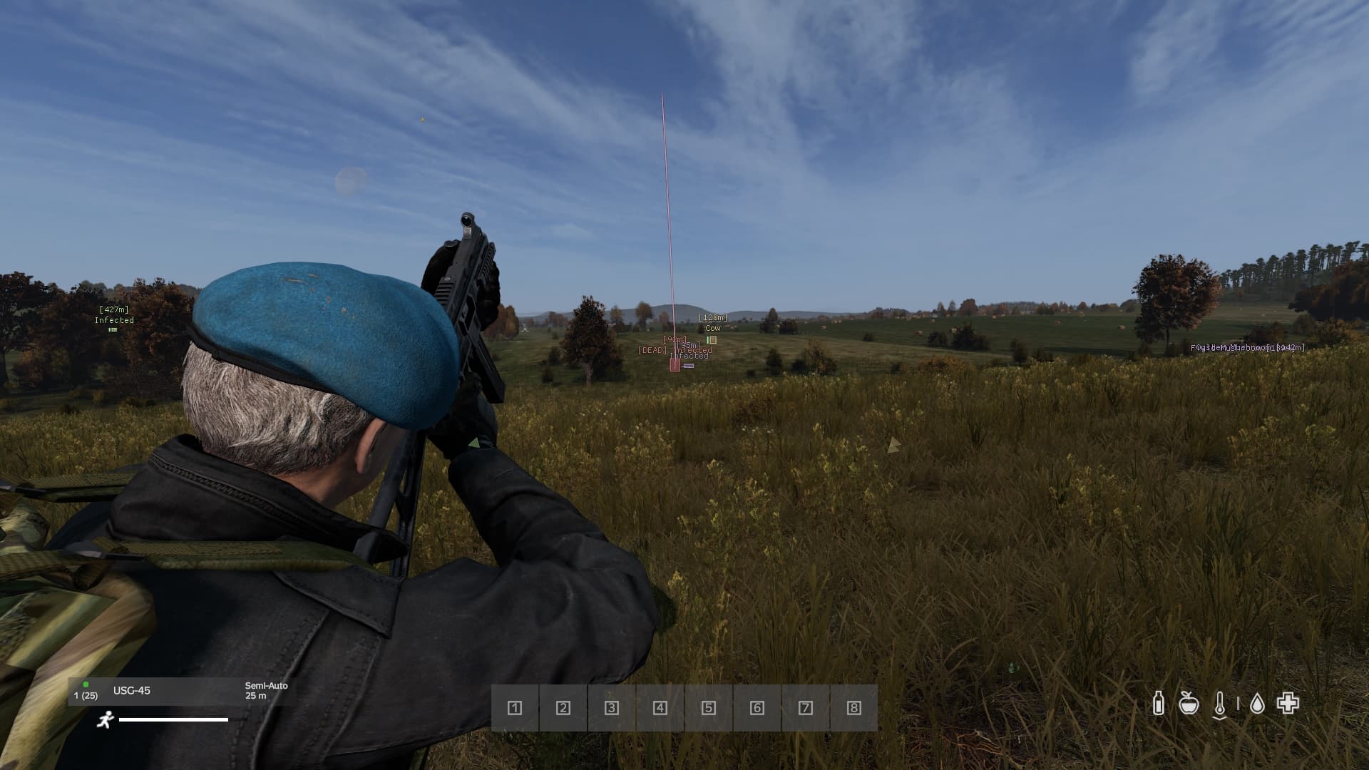 DayZ screenshot 5